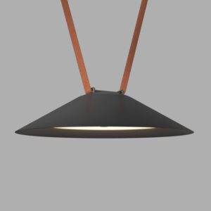 DK5565-BK Cветильник для трека-ремня Belty, серия Flow, со светодиодом, D300*H71мм, 48V DC, 20W, RA90, 120°, 3000K, IP20, черный, алюминий